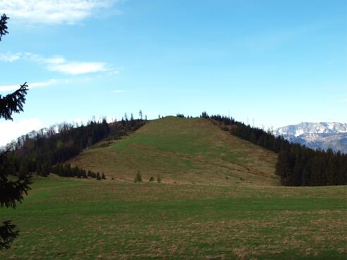 Schneeberg 1244m