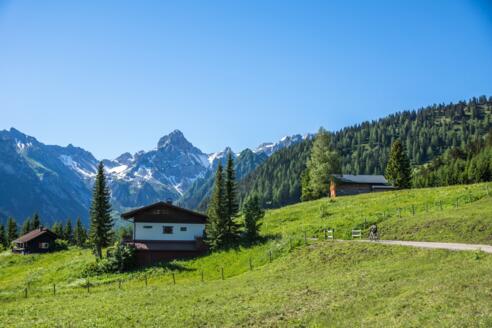 Alpgebiet Burtschaalpe mit Blick auf Zimba