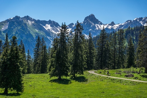 Blick nach dem Parfienzsattel auf die Zimba
