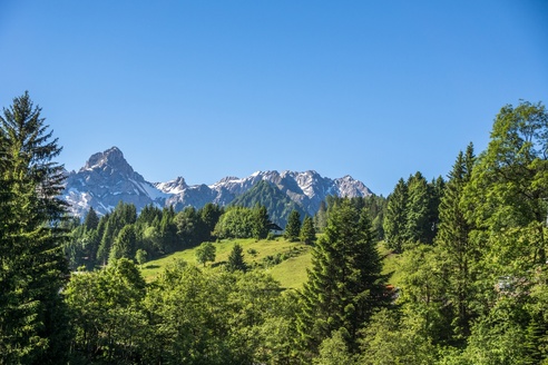 Blick auf die Zimba von der Tschengla aus
