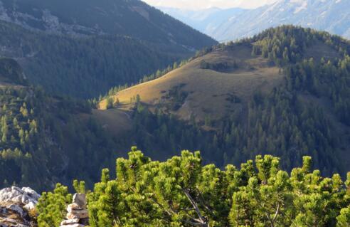 Hals vom Stubwieswipfel aus gesehen
