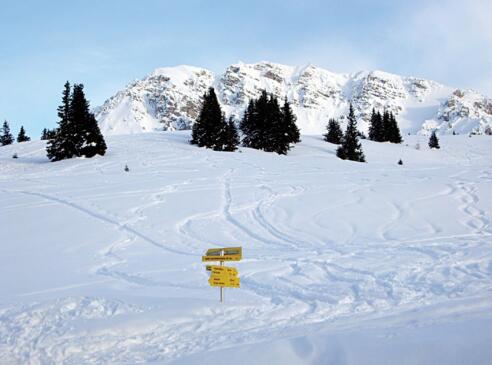 Aufstieg Birgitzköpfl