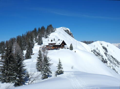 Goisererhütte 1592m (Winter)