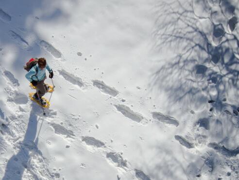 Schneeschuhwanderung in Scheffsnoth / Lofer