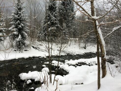 Winterlandschaft an der Ill