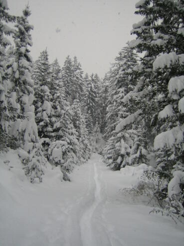 Winterlandschaft