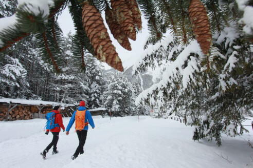 Stanzach-am Namlosbach entlang