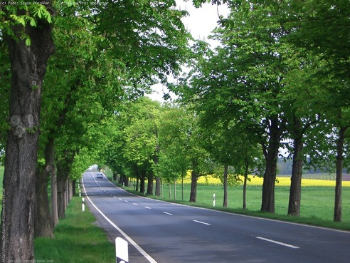 Deutsche Alleenstraße