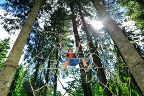 Spinnennetz Carl-Hrinbeinweg