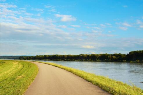 Danube Cycle Path near Mitterkirchen