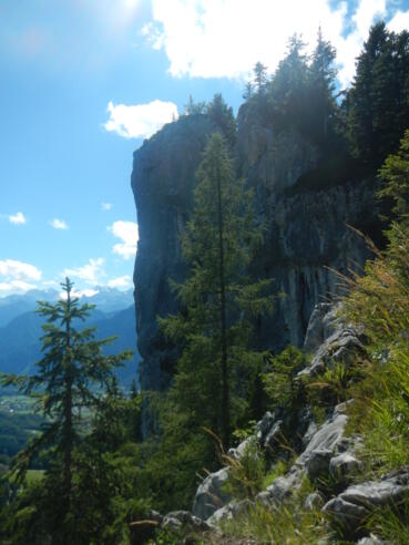 Ausblick auf den Gipfel des Predigstuhls