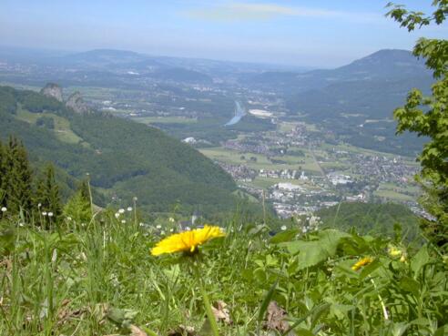 Blick von Schornhöhe