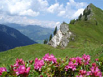 Bettlerscharte