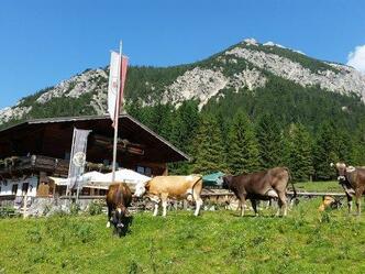 Vilser Alm