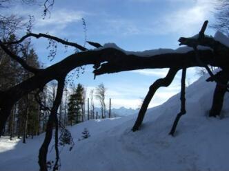 Auf der idyllischen Skiroute