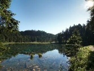 Der See