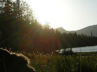 Tauernkarsee