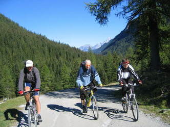 Weg zum Forstau-Winkl
