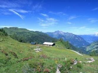Großwildalm, 1.778 m