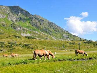 Plattenspitze