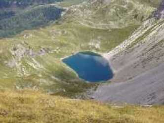 Wildsee