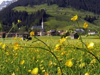 Holzgau
