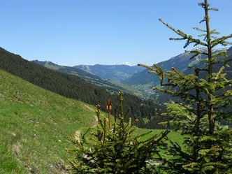 Höhenweg 4