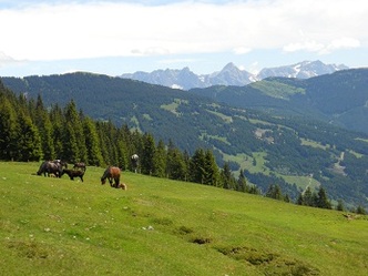 Schattberg Höhenweg