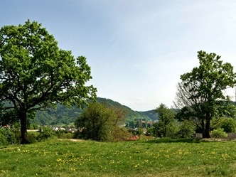 Panoramablick Rastplatz Mühlberg