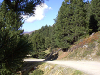 Kreuzjoch
