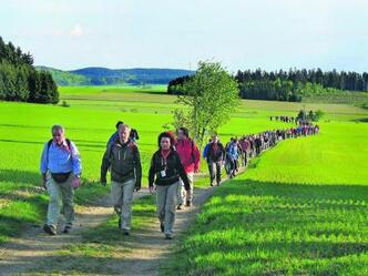 Bei strahlendem Sonnenschein ging's für die Wanderer in Bad Steben los. Kurz vor dem Langesbühl liegt das Feld noch dicht beieinander.
