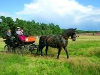 Kutschfahrten Böbing