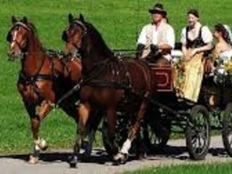 Kutschfahrten Antdorf