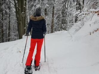 Schneeschuhwandern