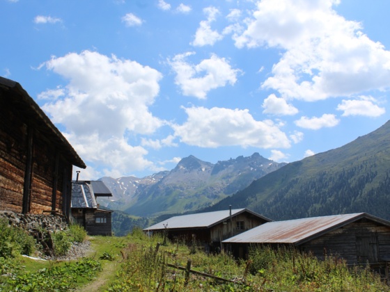 Außermelan Alm Niederleger