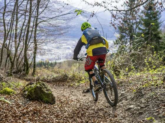 Arzler Alm Trail
