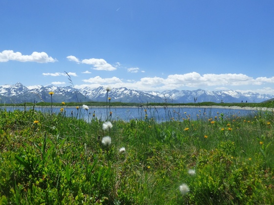 Wir lieben diesen Ausblick