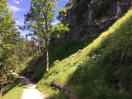sehr schöner, breiter Weg