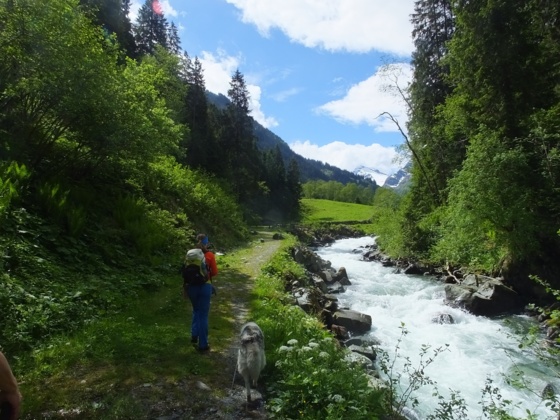 Bachlehrweg Hollersbach