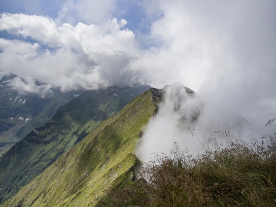 die Pihapperspitze