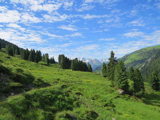 Wanderung ins Salzachtal