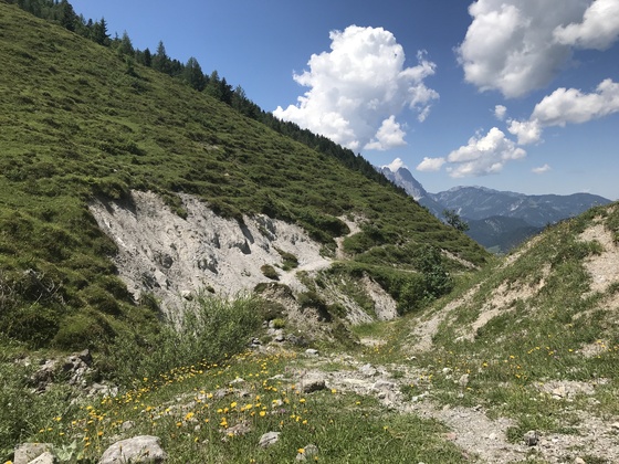 Wandern über Almwiesen