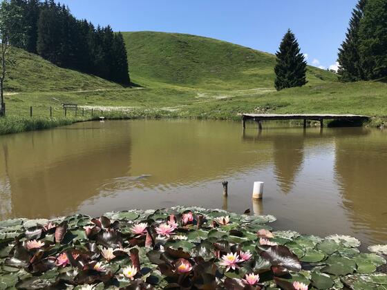 Pass this small picturesque lake