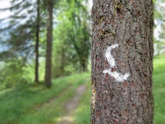 The distinctive Lechweg Trail markings