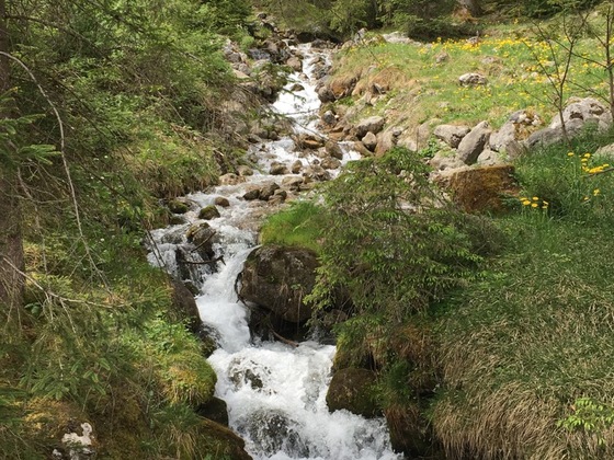 Wanderweg Richtung Maria Kirchental