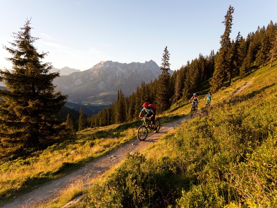 Schönleiten Trail