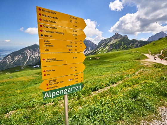 Wegweiser