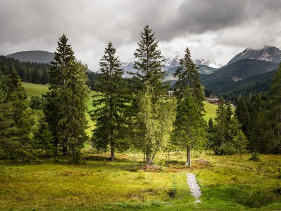 Kleiner Baumkreis beim Neubergerhof