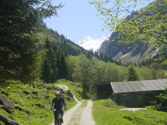 Im Hintergrund thront der Großvenediger