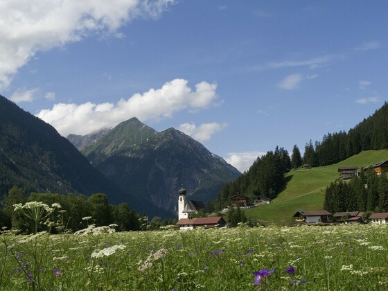 Blumenwiese in Bach
